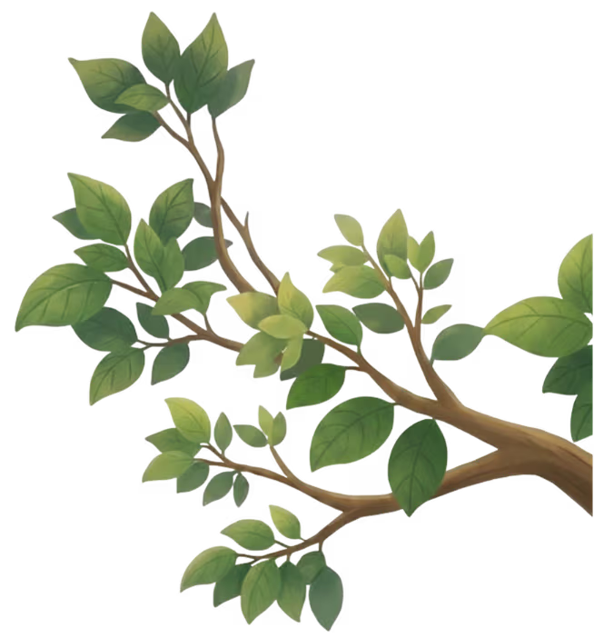 tree-branch